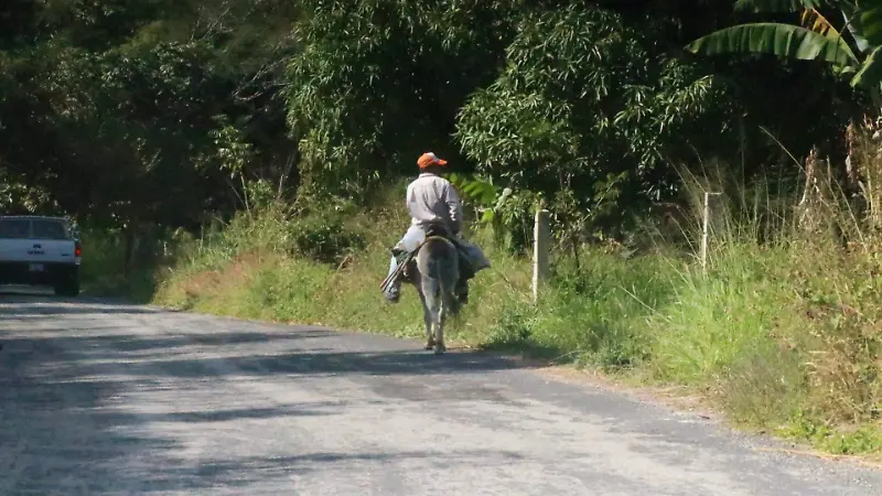 Carretera Palmar Estación-Palmarejo en malas condiciones