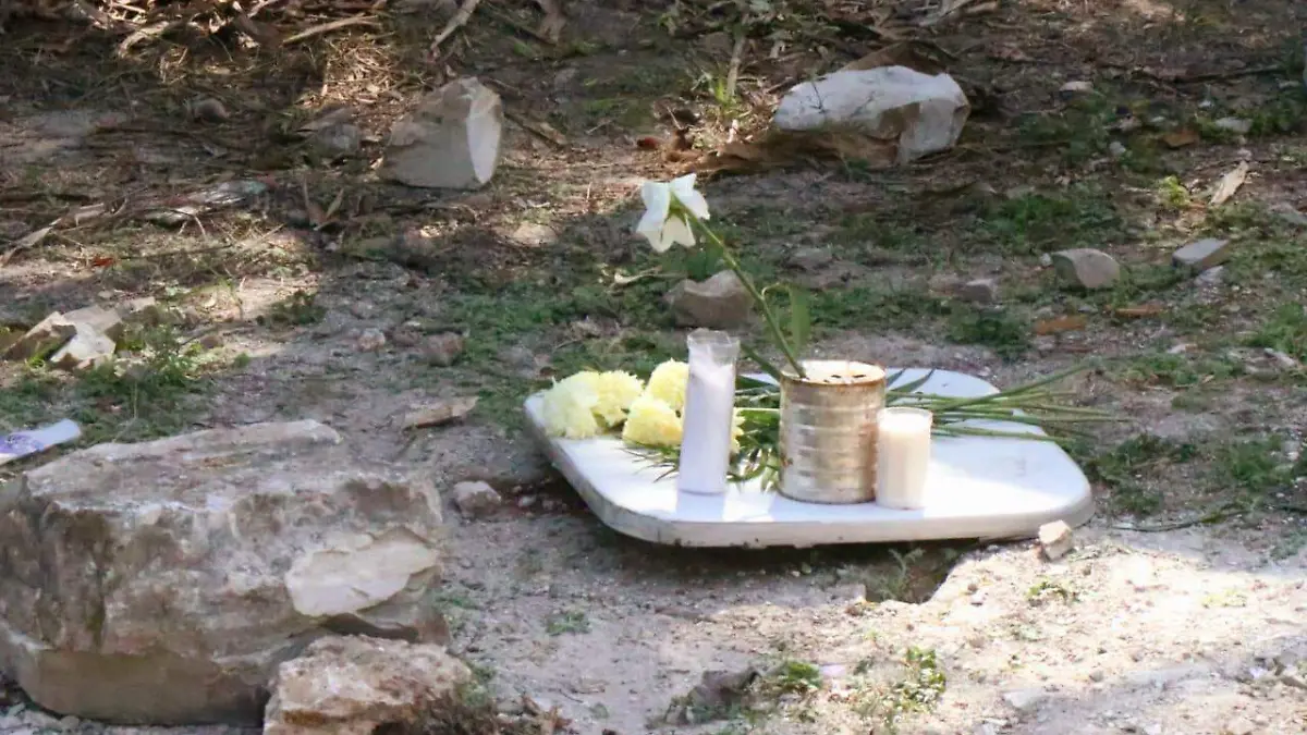 WhatsApp Image 2025-11-27 at 3.48.51 PM