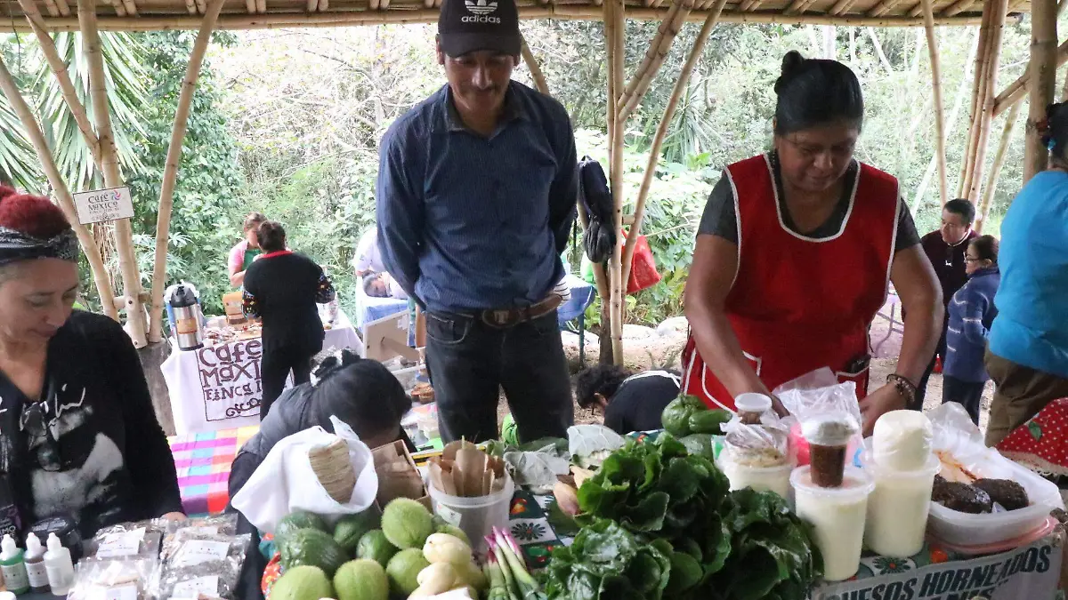 Tianguis Bio-Regional en Xalapa