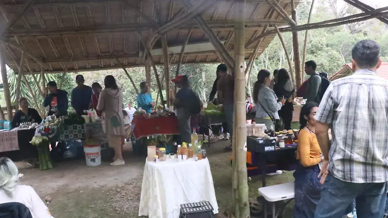 Tianguis Bio-Regional en Xalapa