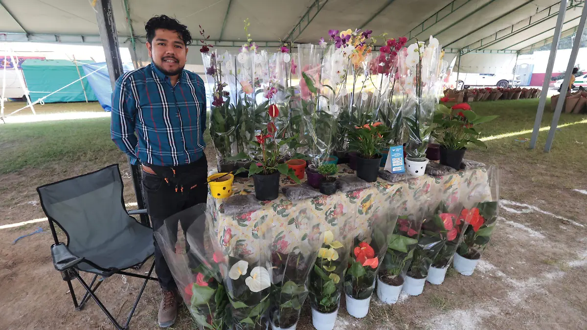 Arranca el Festival de la Flor de Nochebuena en La Estanzuela