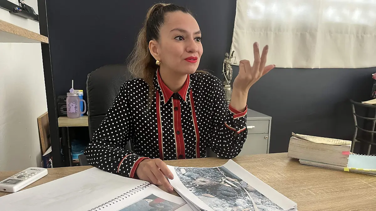 Maltrato y crueldad animal