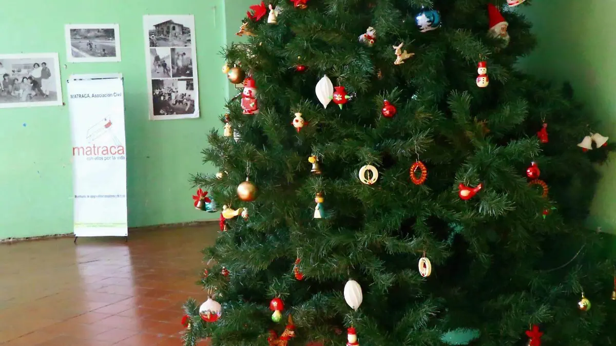 WhatsApp Image 2025-12-12 at 15.36.02