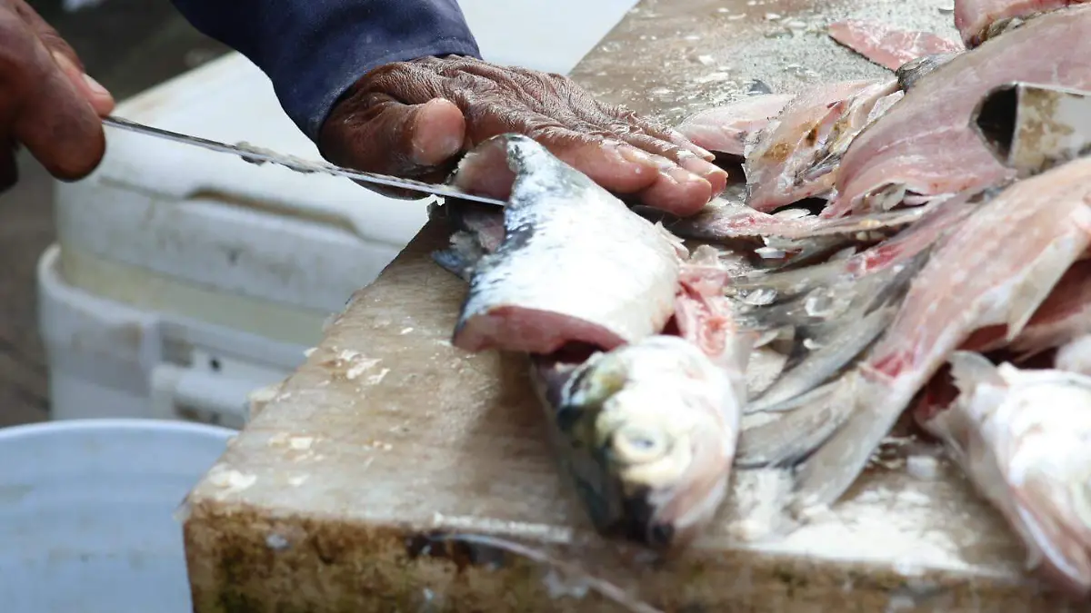 Pescadores de Boca del Río
