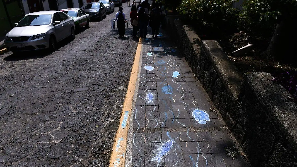 Ambientalistas buscan rescatar el manantial Tecuanapan en Xalapa