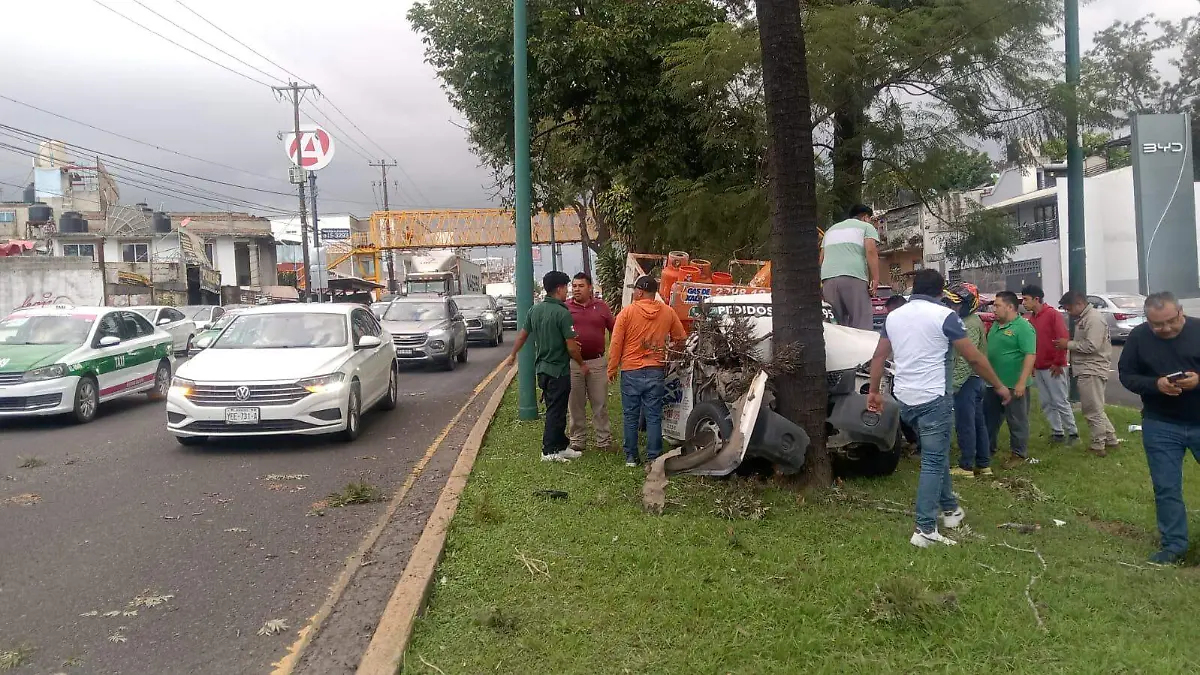 WhatsApp Image 2025-12-15 at 6.09.55 PM