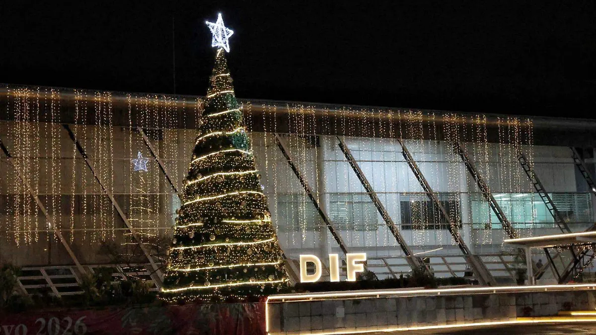 Encendido del árbol (7)