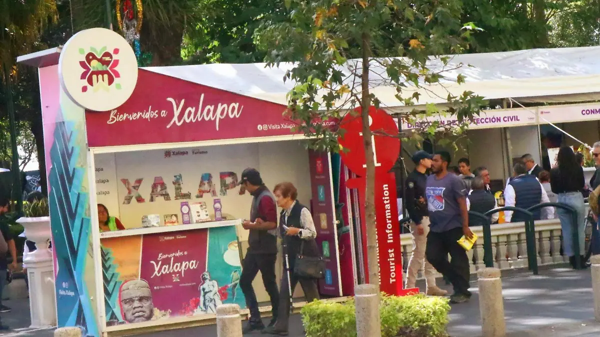 david- Impulso al turismo 6