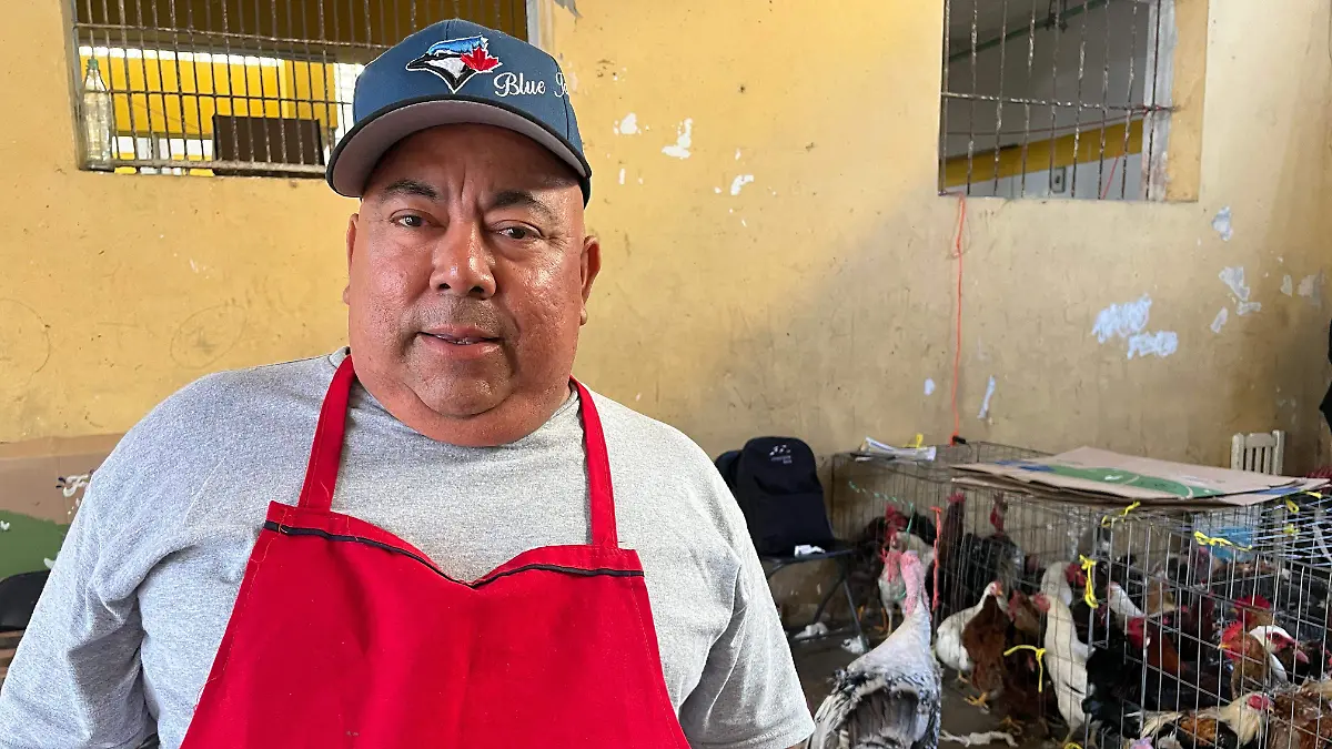 Guajolotes y pollos4.