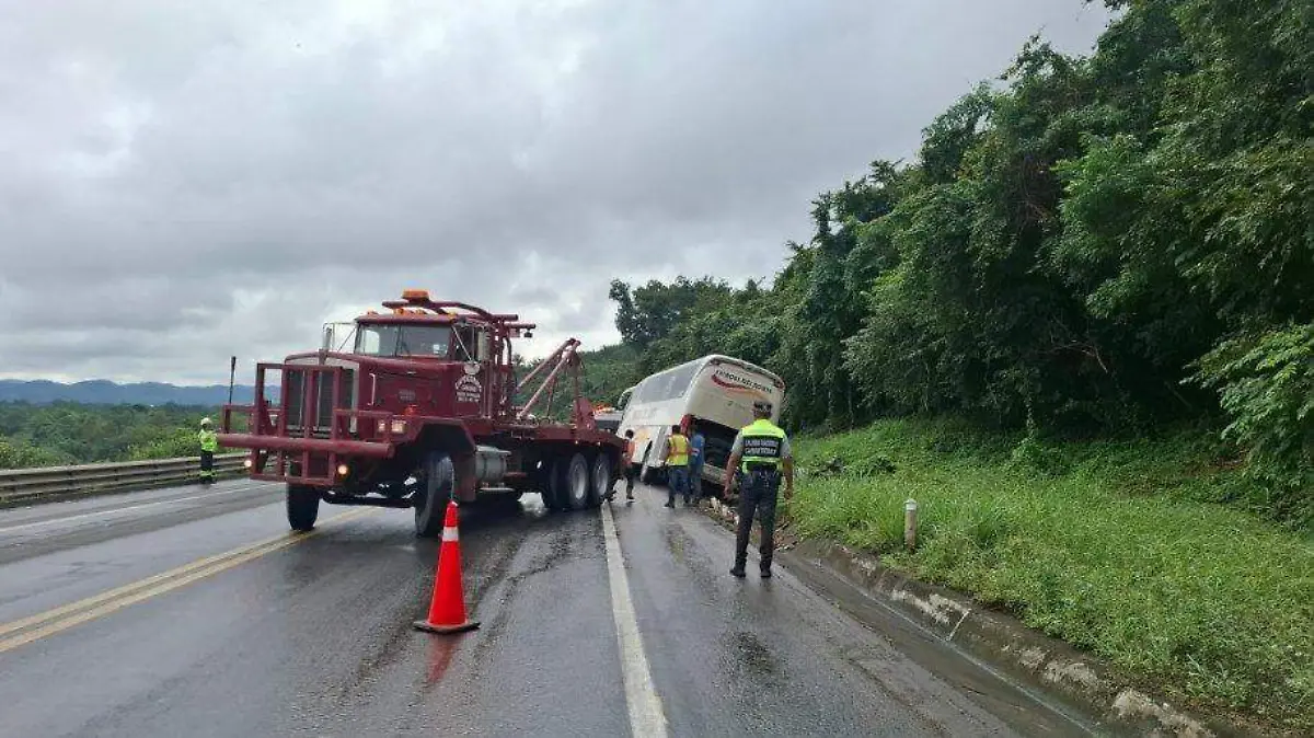 WhatsApp Image 2025-12-23 at 14.33.06