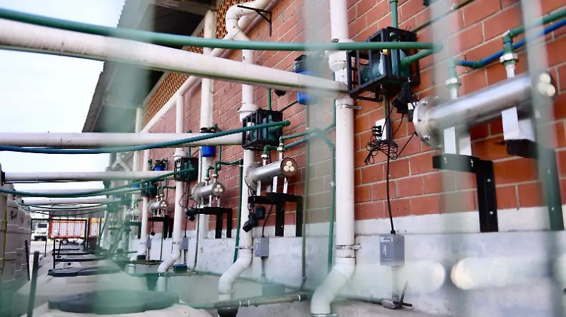 Captan agua de lluvia en Central de Abastos