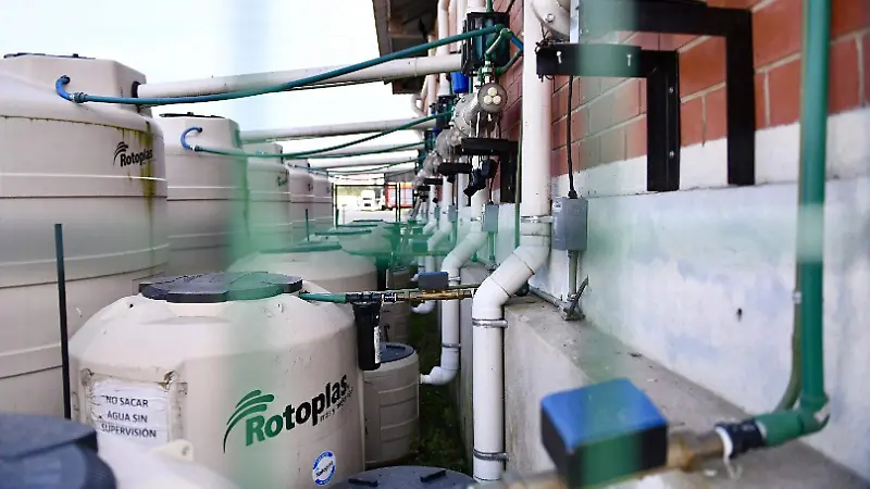 Captan agua de lluvia en Central de Abastos