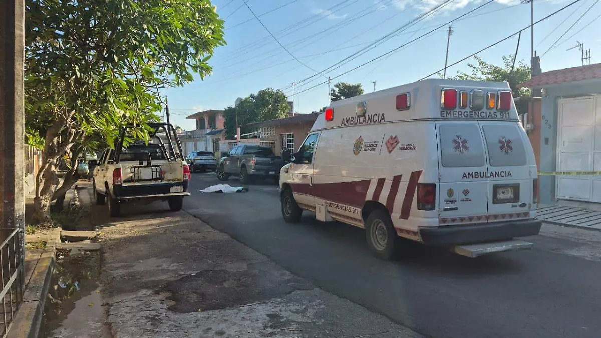 a6c56dd1-7baf-4f09-9d06-d5d94e428417