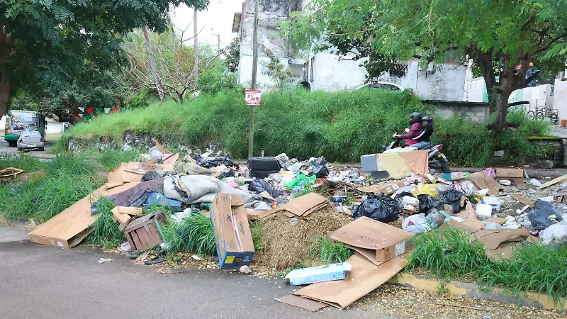 Basura en la ciudad de Veracruz