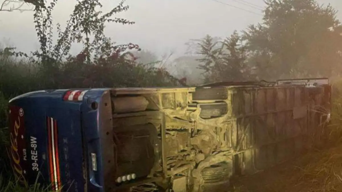 WhatsApp Image 2025-12-26 at 09.39.01