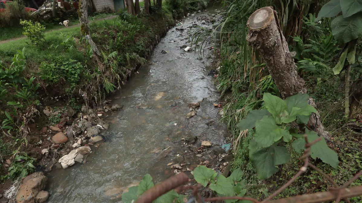 WhatsApp Image 2025-12-26 at 11.14.41 AM