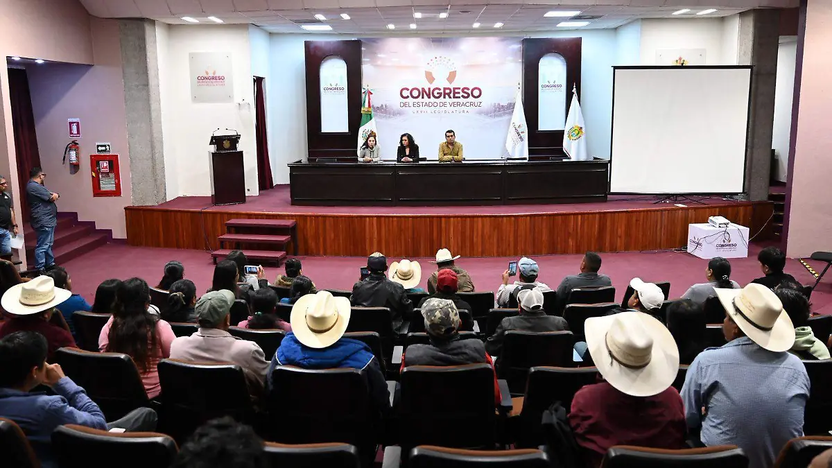 WhatsApp Image 2025-12-30 at 12.29.30