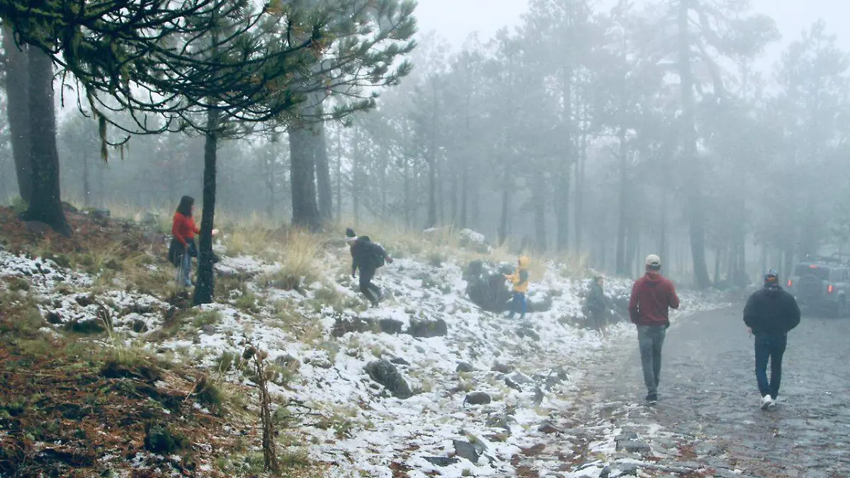 WhatsApp Image 2025-12-30 at 5.06.07 PM