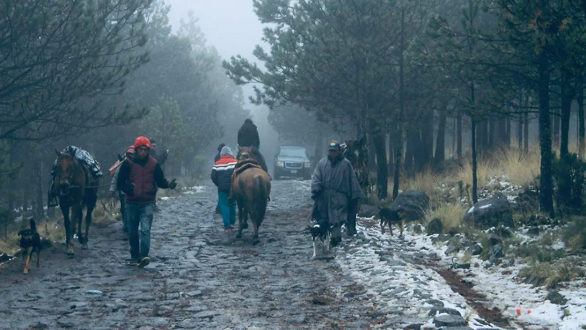 WhatsApp Image 2025-12-30 at 5.06.15 PM