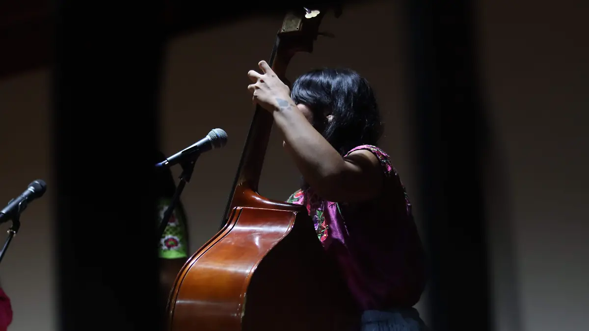 MAX Normal BENV (182)