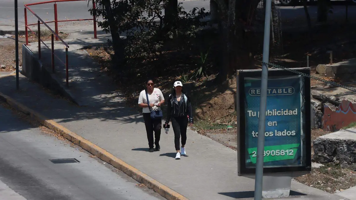 WhatsApp Image 2026-01-02 at 10.03.43 AM