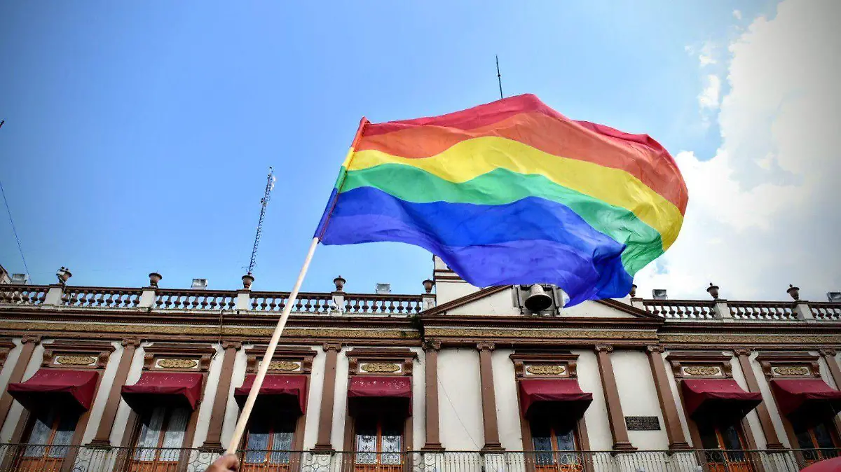 WhatsApp Image 2026-01-02 at 12.12.23