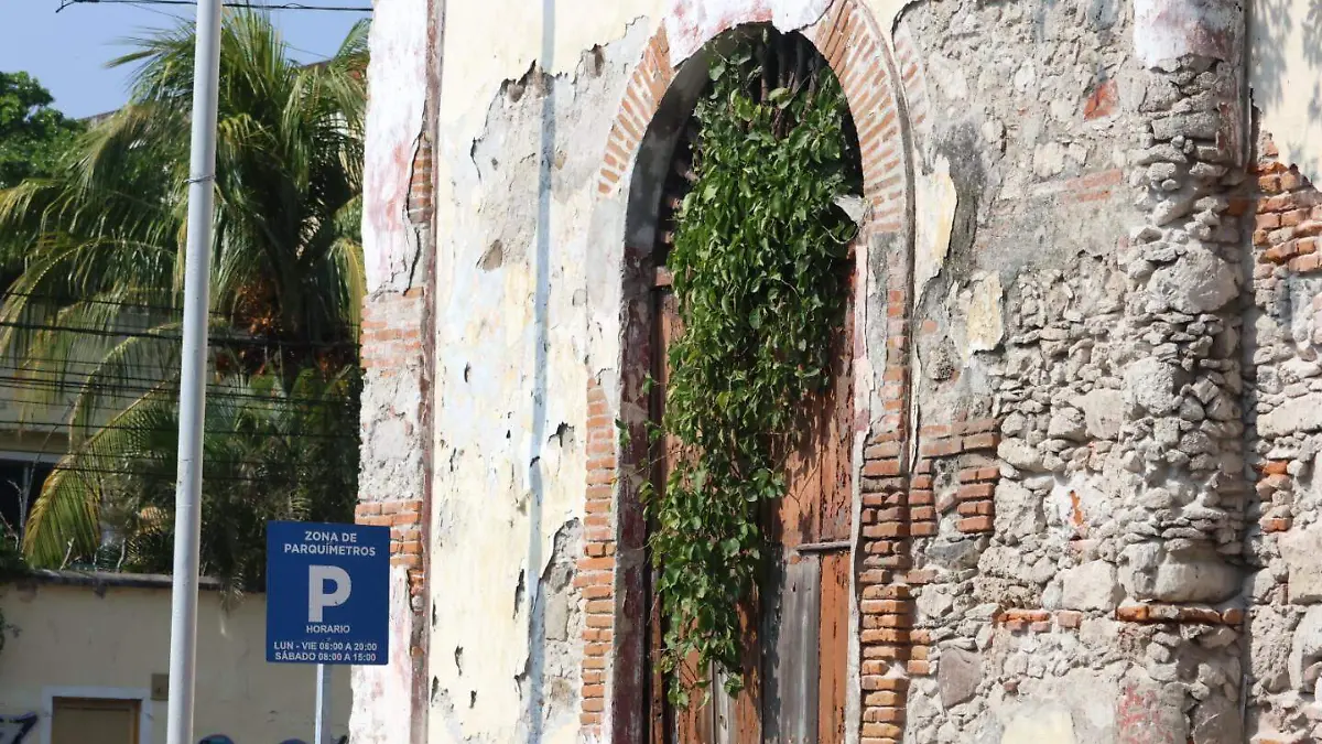 Arbustos en viviendas en centro histórico