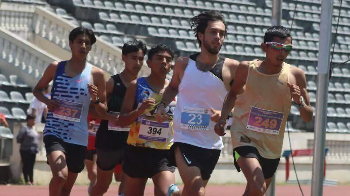 Entrenador deportivo