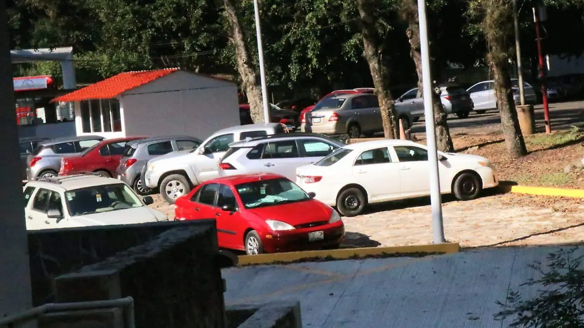 WhatsApp Image 2026-01-06 at 14.07.54