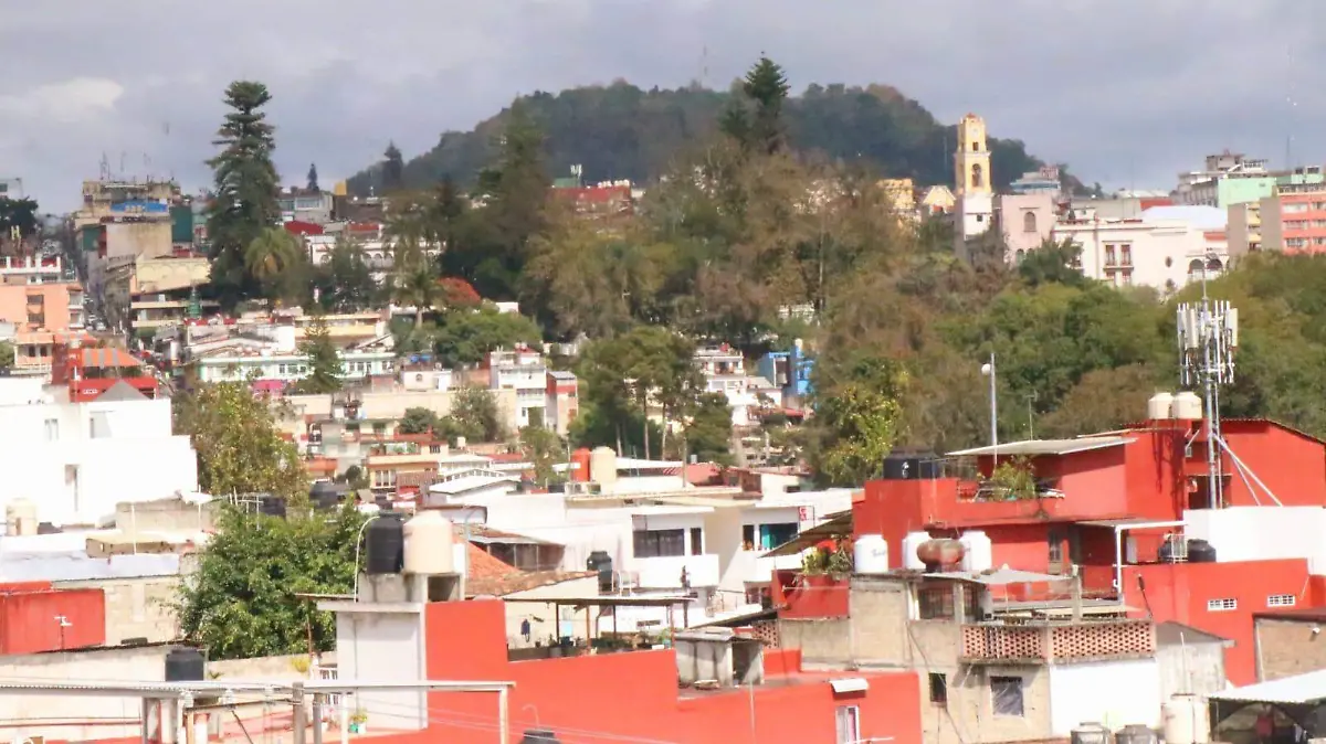 WhatsApp Image 2026-01-07 at 10.05.27