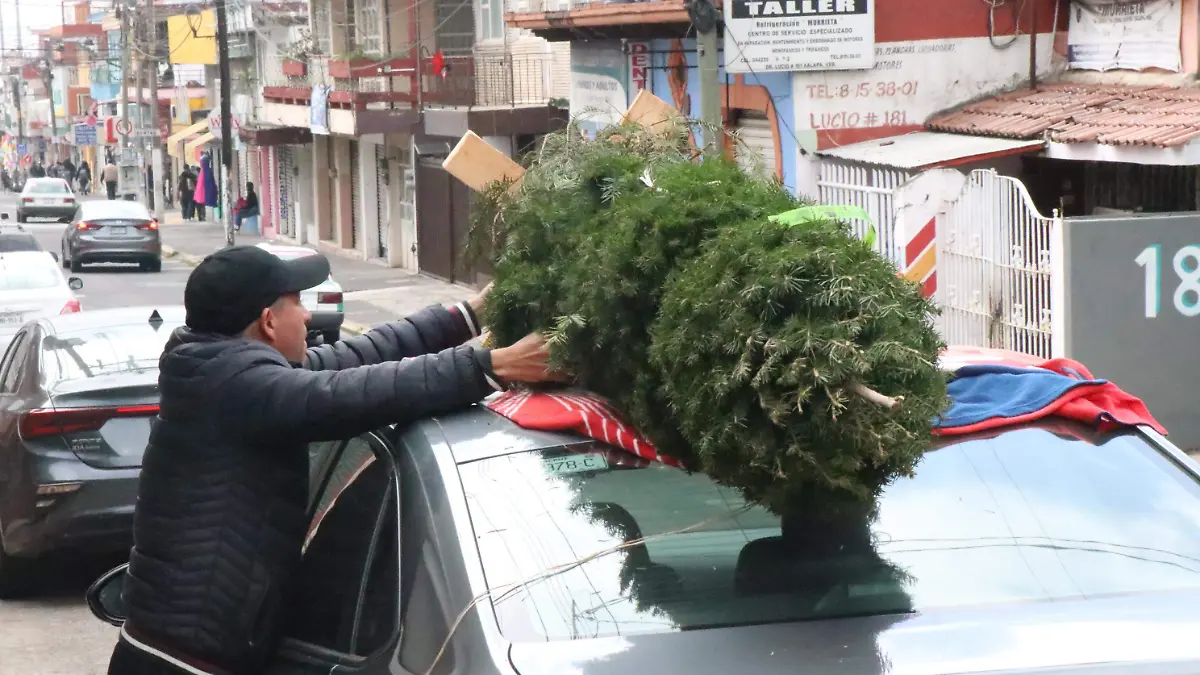 david- Arbol navidad 0
