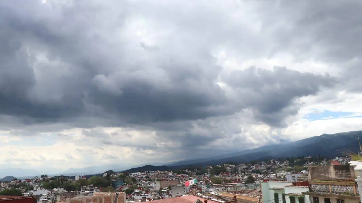 WhatsApp Image 2026-01-08 at 4.04.45 PM