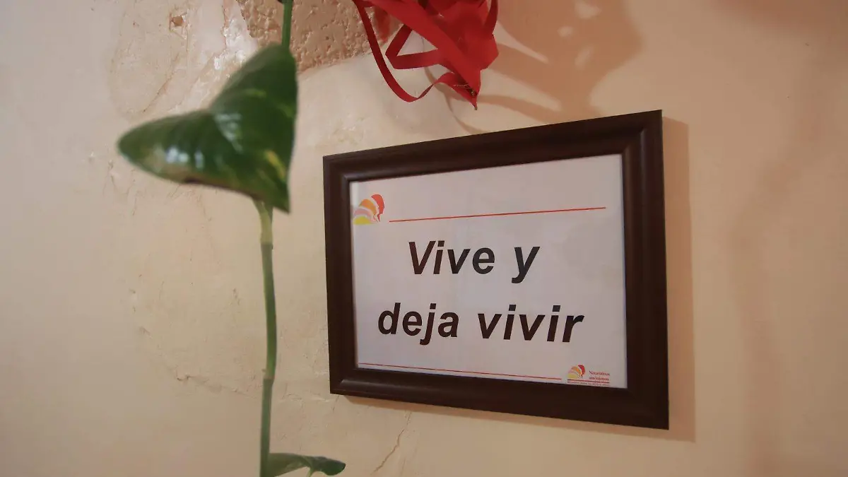 Neuróticos Anónimos