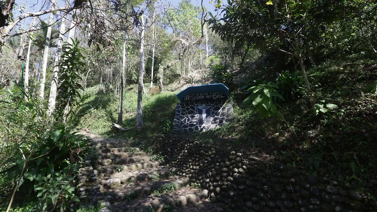 WhatsApp Image 2026-01-09 at 3.47.16 PM (1)