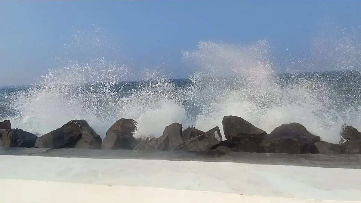 WhatsApp Image 2026-01-10 at 15.23.45