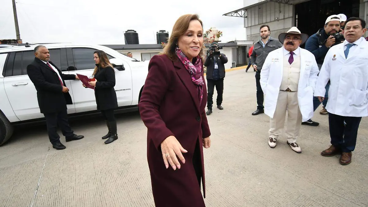 david- Gobernadora, RocíoNahleGarcía