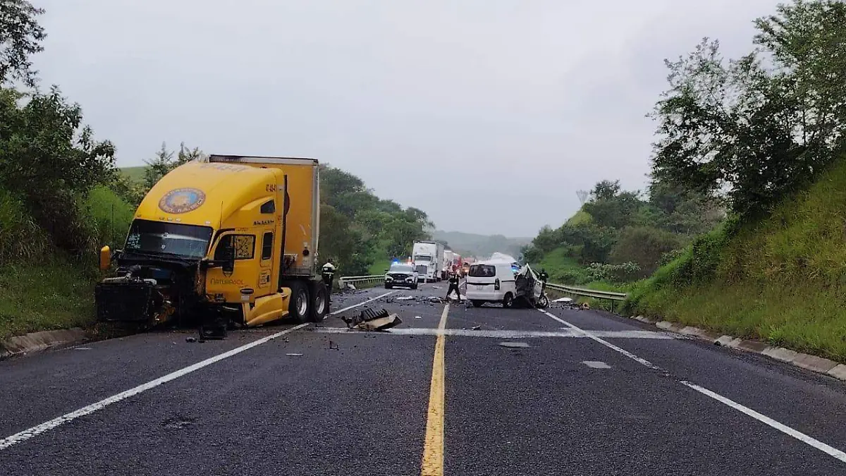 WhatsApp Image 2026-01-13 at 6.49.46 PM