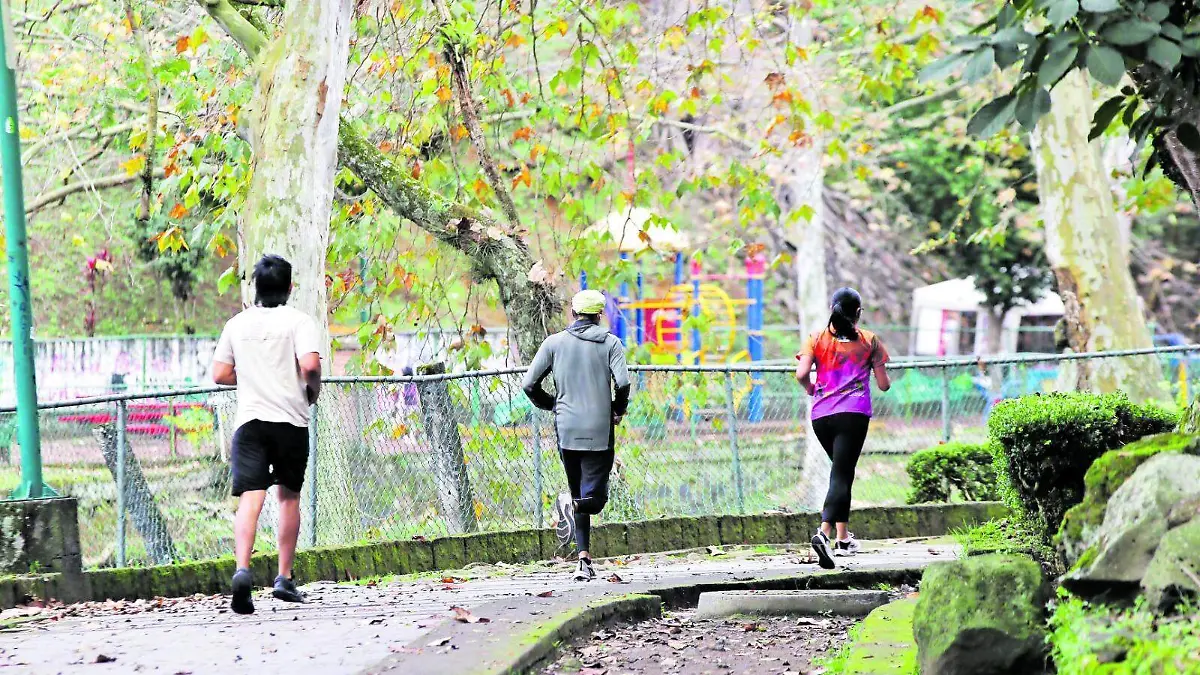 WhatsApp Image 2026-01-14 at 10.12.54 PM