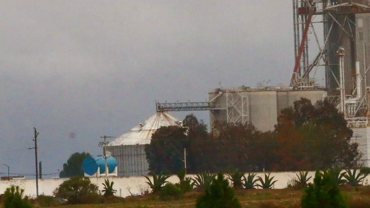 20240621133326_IMG_1521