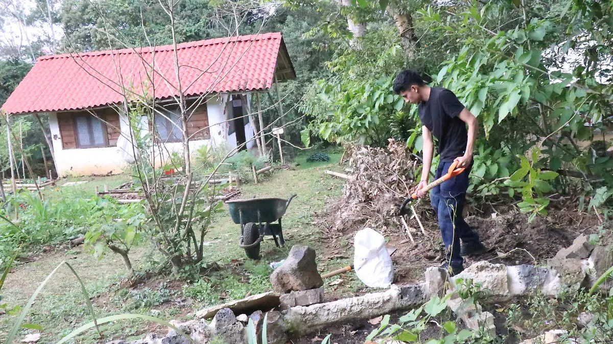 david- Agroecología