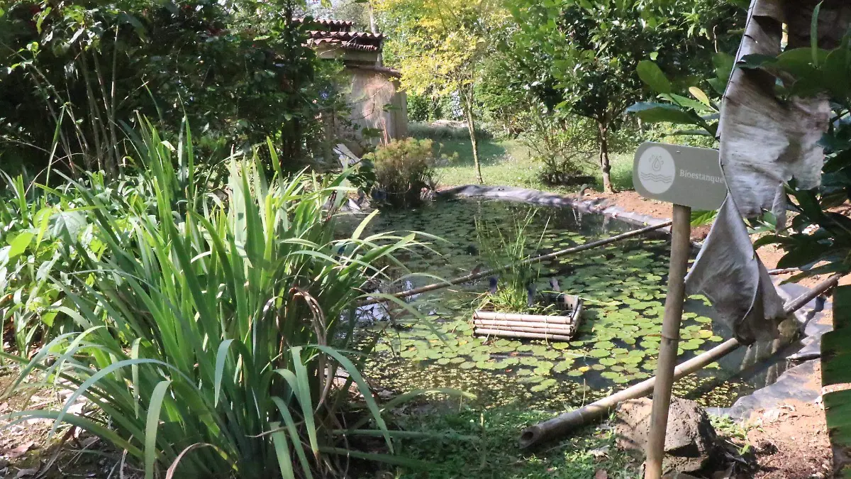 david- Agroecología