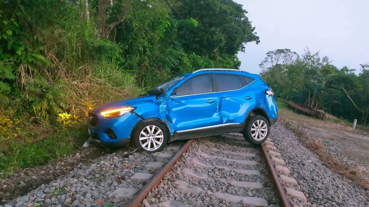 WhatsApp Image 2026-01-16 at 8.00.32 PM