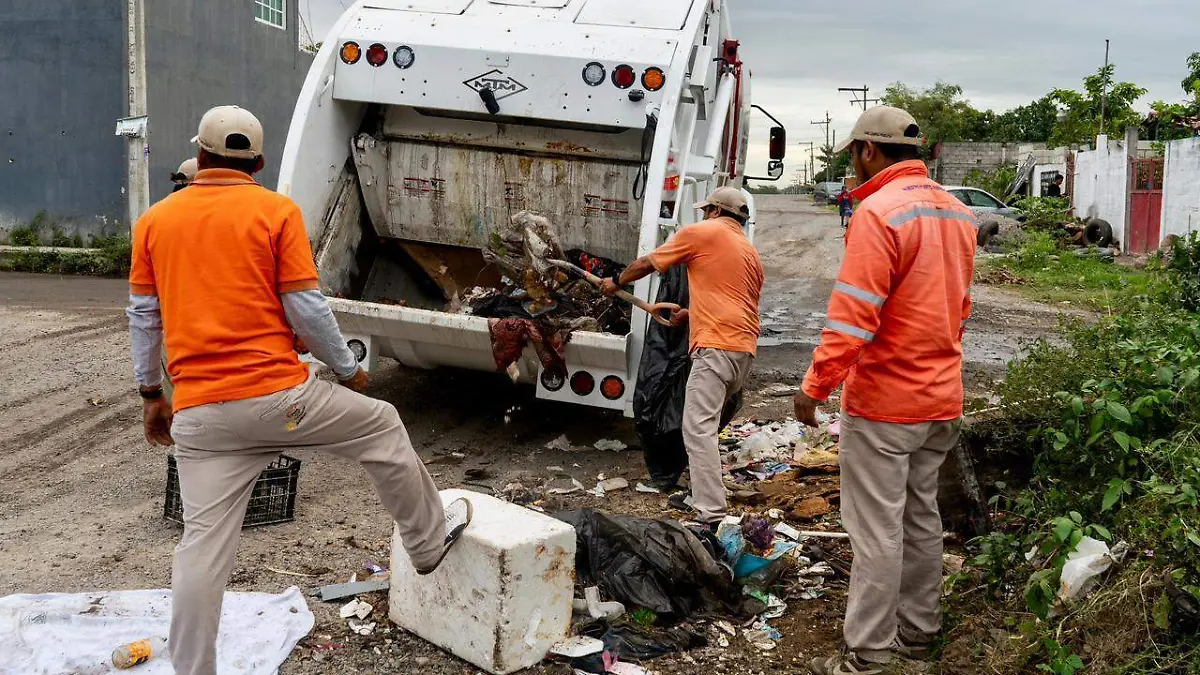 WhatsApp Image 2026-01-17 at 3.21.45 PM