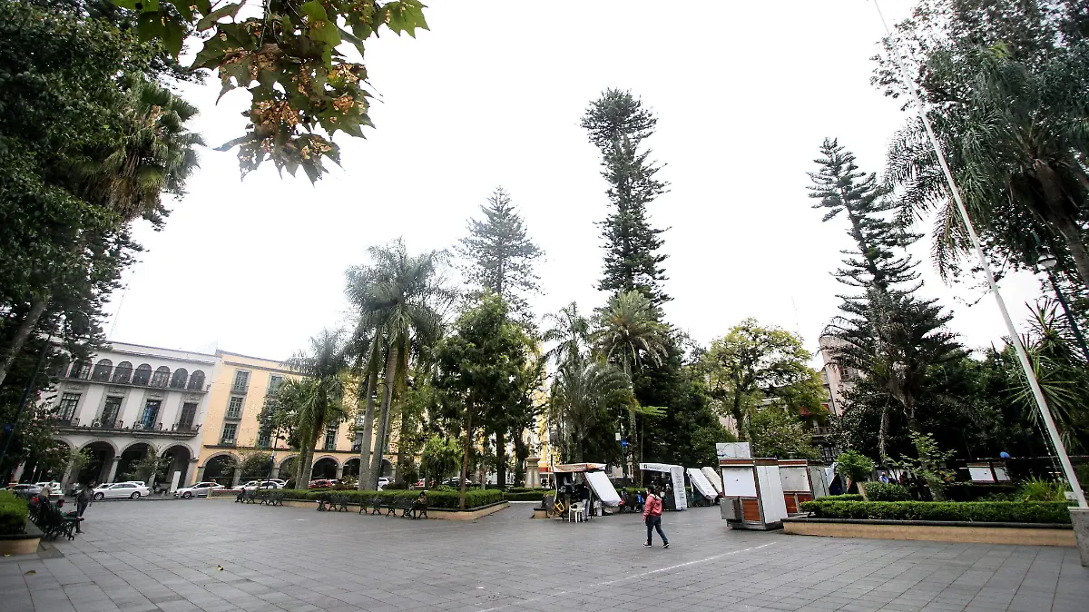 RENE-PARQUE JUAREZ-XALAPA
