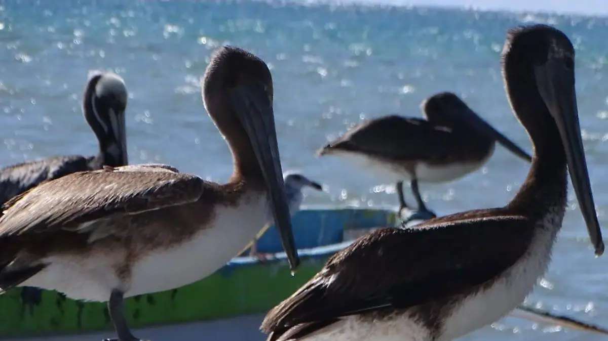 613566269_17983003052933627_8442953868412959054_n