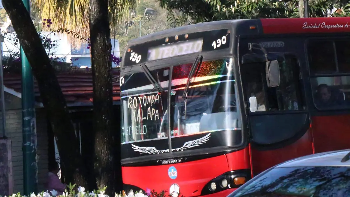 WhatsApp Image 2026-01-28 at 10.35.45