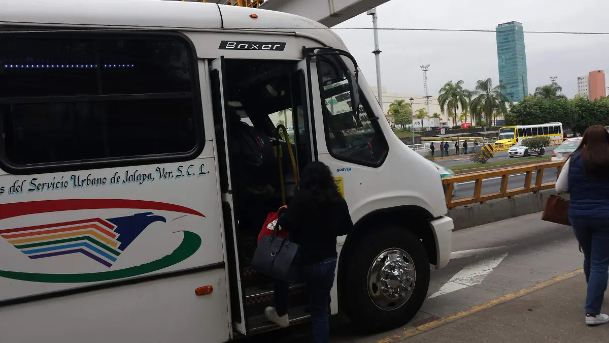 camiones transportes (3)