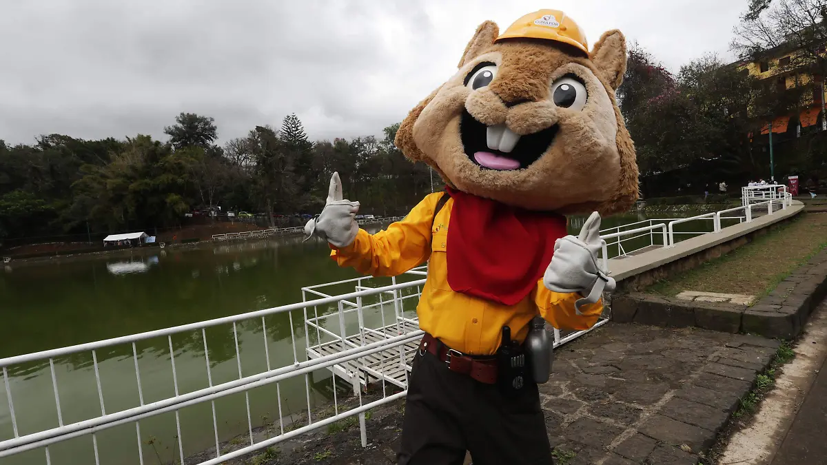 Rally Ecológico (9)