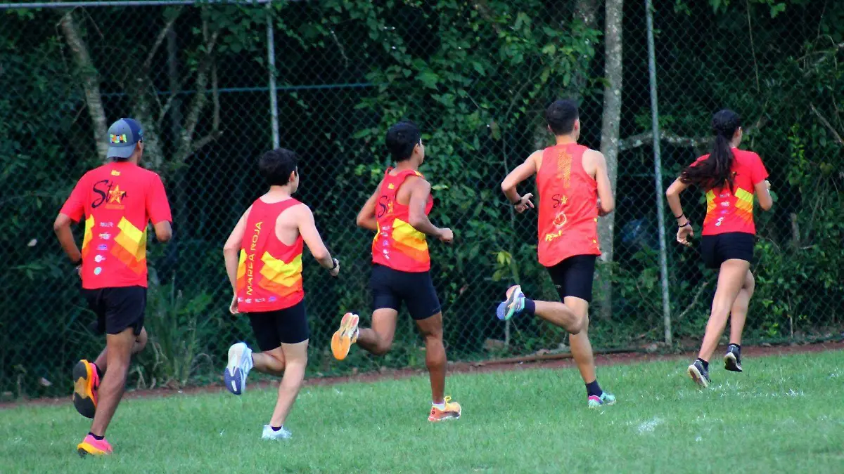 WhatsApp Image 2026-01-28 at 10.02.11 AM (1)