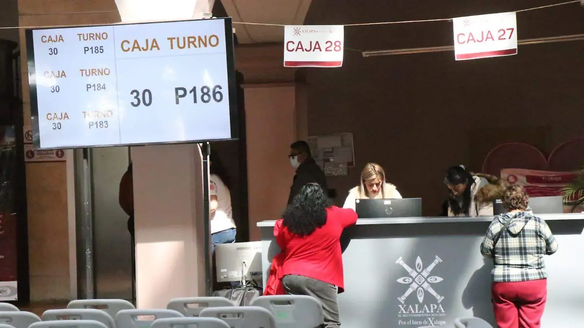 WhatsApp Image 2026-01-29 at 12.28.15